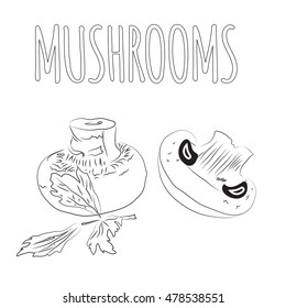 Mushrooms. Hand drawn. Vector illustration. Food sketch. 