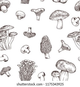  Mushrooms hand drawn vector seamless pattern. Sketch food drawing isolated on white background. Organic vegetarian product. Great for menu, label, packaging, recipe.