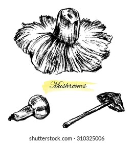 Mushrooms hand drawn vector sketch vegetable isolated on white, vintage graphic engraving collection for organic food industry, healthy green food market, vegetarian restaurant menu, package, book art