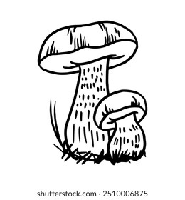 Mushrooms hand-drawn doodle. Contour black line mushroom. Vector illustration