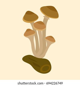Mushrooms  honey agaric isolated, vector illustration icon