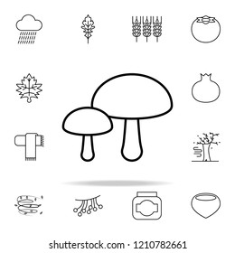 mushrooms icon. autumn icons universal set for web and mobile