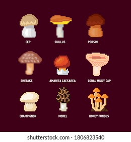 Mushrooms icon set. Pixel art. Old school computer graphic. 8 bit video game. Game assets 8-bit sprite. Design for sticker, logo, mobile app.