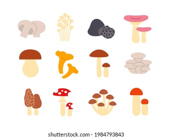 Mushrooms icon set. Vector isolated flat color icons. Glyph design. Illustrations of champignon enoki truffle russula porcini cep chanterelle oyster morel fly agaric honey toadstool birch bolete