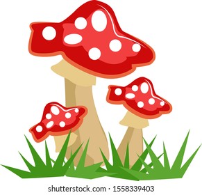 Mushrooms, illustration, vector on white background.