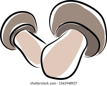 Mushrooms, illustration, vector on white background.