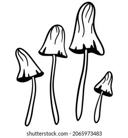 Mushrooms isolated clipart. Black and white vector illustration.