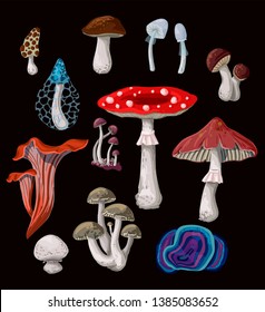 Mushrooms isolated on a white background