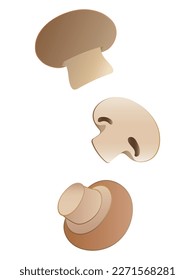 Mushrooms isolated on white background. Whole, half, cut and sliced portobello top and side view.  Brown cremini mushroom. 3d vector icon set isolated on white. flat cartoon illustration style.