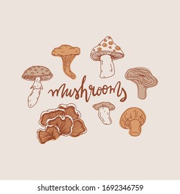 Mushrooms isolated vector fall lettering illustration. Autumn forest design element.