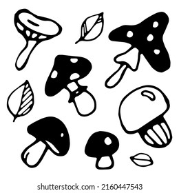Mushrooms and leaves. Hand drawn. Vector