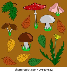 Mushrooms, leaves and plants