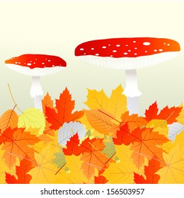 Mushrooms and leaves vector autumn background concept