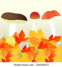 Mushrooms and leaves vector autumn background concept