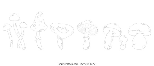 Mushrooms line art style. Hand drawn mushrooms no color.