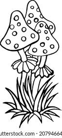 mushrooms, line drawing, magic items fly agaric