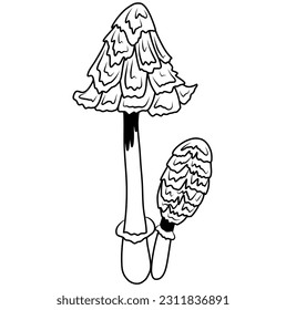 Mushrooms, mushroom silhouette, vector illustration.