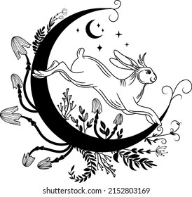 Mushrooms, Mystic mushrooms. Logo. Vector illustration.