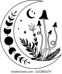 Mushrooms, Mystic mushrooms. Logo. Vector illustration.