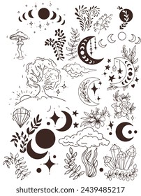 Mushrooms mystical magical graphics hand drawn moon stars tarot intuition fly agarics toadstools poisons set background stickers coloring