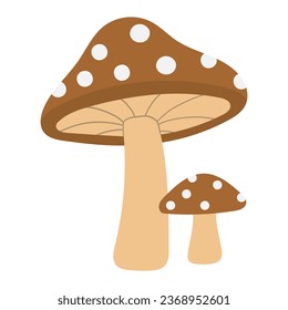 mushrooms nature plant vector illustration