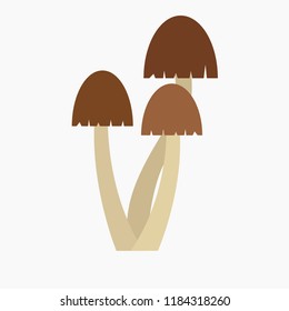 Mushrooms. Nature. Vector illustration. EPS 10.