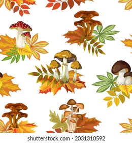 Mushrooms on autumn leaves in a pattern.Mushrooms and autumn leaves on a white background in a seamless pattern.