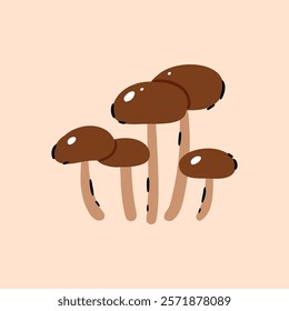 Mushrooms on a beige background. Button, Cremini, Portobello, Shiitake, Oyster, Porcini, Morel, Enoki, Chanterelle, Maitake.