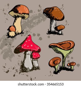 Mushrooms on a dirty background