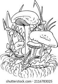 Mushrooms on the lawn in the grass .Simple mushroom silhouette vector isolated. Black and white illustration ,doodles,abstraction,vector.