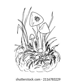 Mushrooms on the lawn in the grass .Simple mushroom silhouette vector isolated. Black and white illustration ,doodles,abstraction,vector.