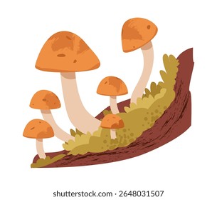Mushrooms on a mossy forest stump. Autumn harvest, wild nature, and cozy woodland. Flat vector illustration.