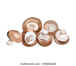 Mushrooms mushrooms on a white background elements