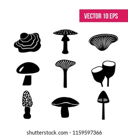 Mushrooms on a white background.   Fungus. Vector - stock vector, icon pack