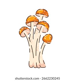 Mushrooms on a white background. Set of autumn mushrooms. Vector illustration.