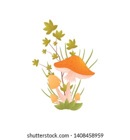Mushrooms with orange cap. Vector illustration on white background.