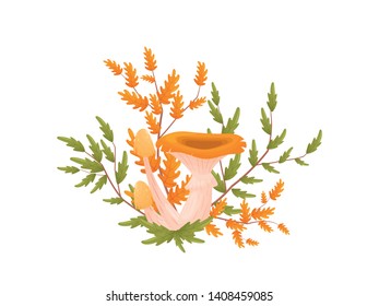 Mushrooms with orange caps grow among grass and branches with leaves. Vector illustration on white background.