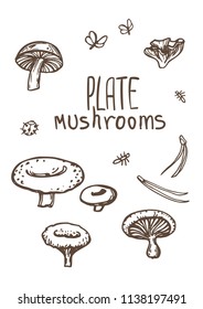Mushrooms. Organic vegetarian product. Vector sketched set