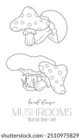 Mushrooms outline isolated on white. Mushrooms ine art ilustration. Fall Mushrooms Hand Drawn. Fall Coloring Page. Thanksgiving graphics