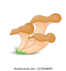 mushrooms oyster surround isolated on white background with grass.