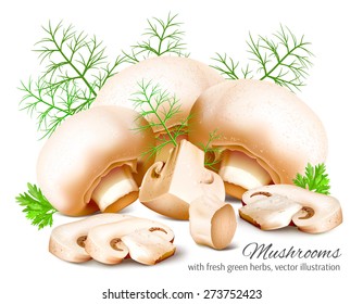 Mushrooms with parsley and dill. Vector illustration