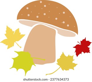 Mushrooms. Pattern. Image on white and colored background. Vector.