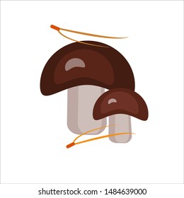 Mushrooms with pine needles, isolated on a white background. Vector graphics