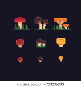 mushrooms pixel art icons set, vector illustration.