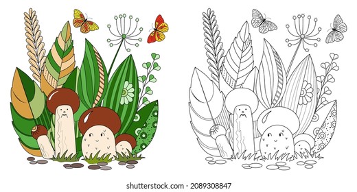 Mushrooms, plants and butterflies on a white background. Anti-stress coloring book for children and adults.