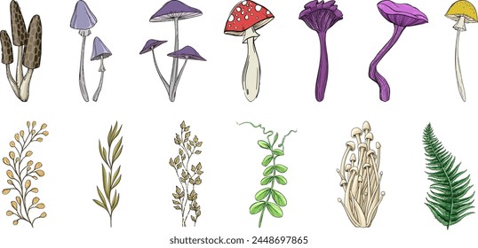 Mushrooms and plants hand drawn linear vector set.