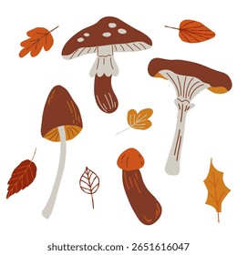 Mushrooms plants. Hand drawn natural foods. Collection of fall elements for scrapbooking, home decor and design, greeting card, banner, poster, label