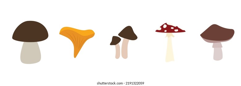 Mushrooms plants. natural foods for kitchen preparing products golden chanterelle champignons decent vector mushrooms pictures set