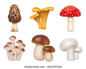 Mushrooms plants. Realistic natural foods for kitchen preparing products golden chanterelle champignons decent vector mushrooms pictures set