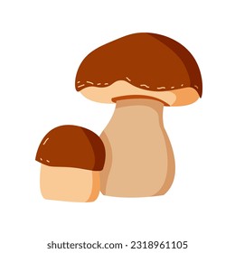 Mushrooms plants. Realistic natural foods for kitchen preparing products golden chanterelle champignons decent vector mushrooms pictures set
